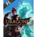 PQube The Dragoness Command Of The Flame PC Game